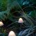 Leszúrható napelemes gombák kültérre