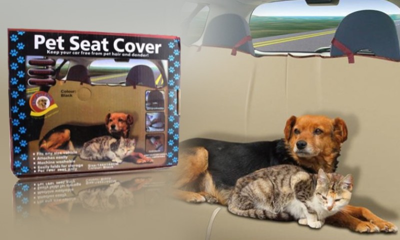 Image of Üléstakaró kutya és kisállatok számára