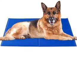 Image of KISÁLLAT HŰSÍTŐ MATRAC