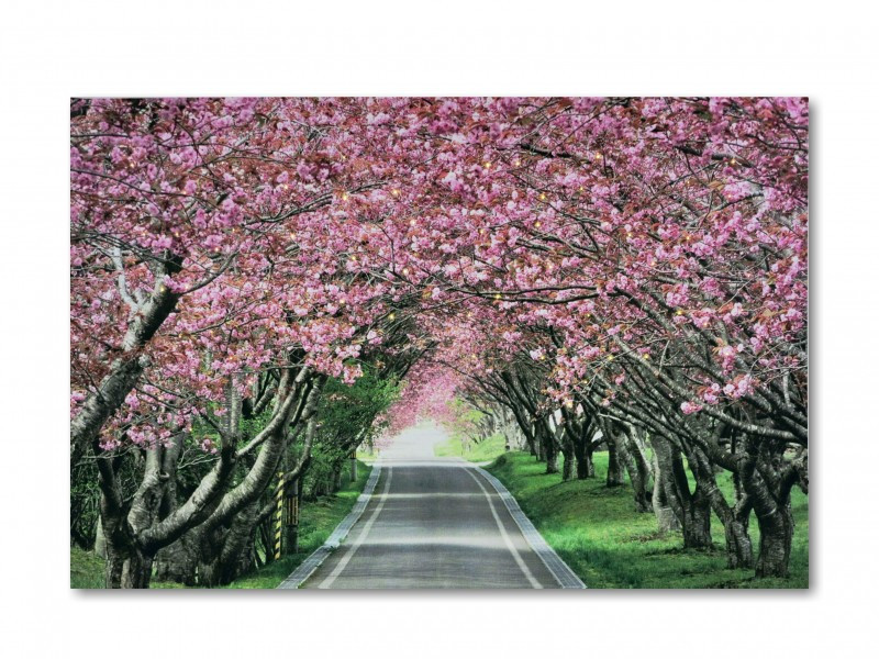 Image of 60 mini LEDes világító falikép virágalagút 40x30cm